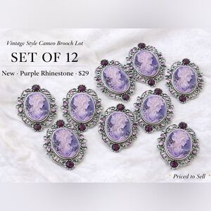 Vintage Style Purple Cameo Brooch Set/Bundle 12 Rhinestone Victorian Pins NWT